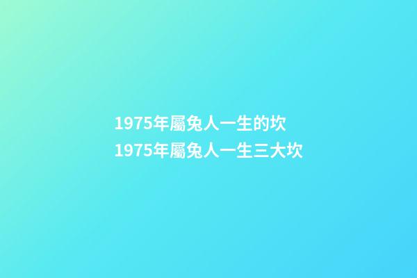 1975年屬兔人一生的坎 1975年屬兔人一生三大坎-第1張-觀點-玄機(jī)派